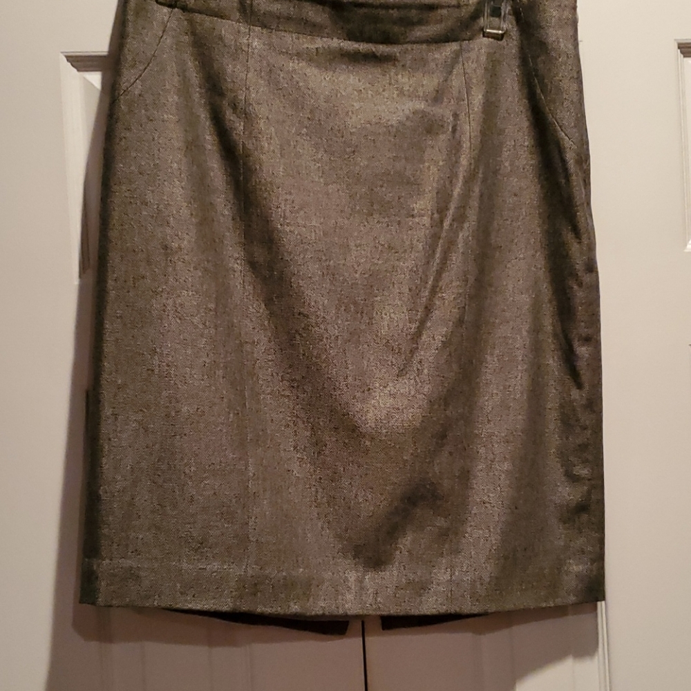 Ann Taylor skirt, 14